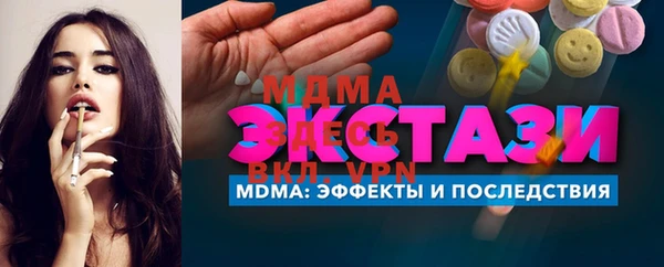 индика Алексин