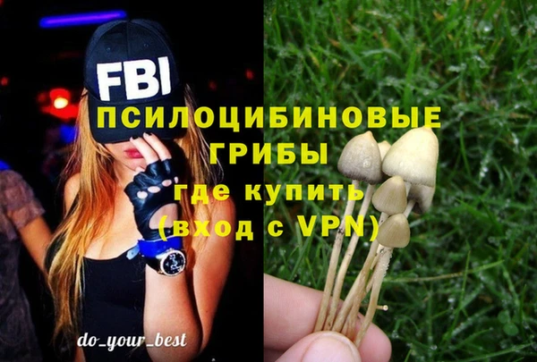 прущие грибы Абдулино