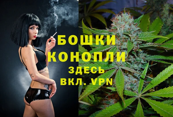 ешки Алексеевка